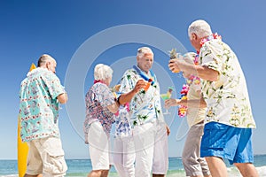 Senior friends drinking cocktails