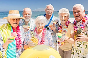 Senior friends drinking cocktails