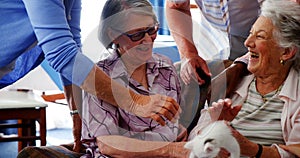 Senior friends and female doctor stroking kitten at retirement home 4k