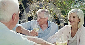 Senior, friends and group outdoor with picnic in garden, backyard or park with wine, bonding and laughing. Elderly, men