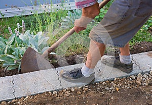 Senior gardener build a wall fundament