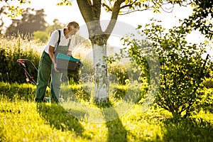 Senior gardener gardening in his permaculture garden