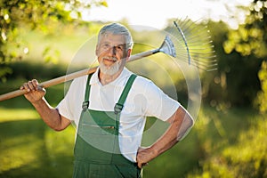 Senior gardener gardening in his permaculture garden