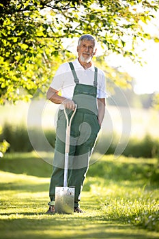 Senior gardener gardening holding a spade