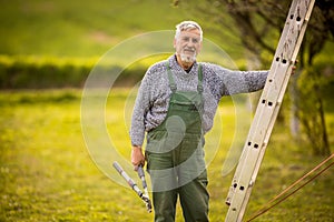 Senior gardener  in his  garden