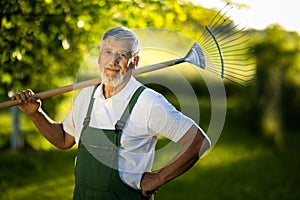 Senior gardener holding a grass rake,