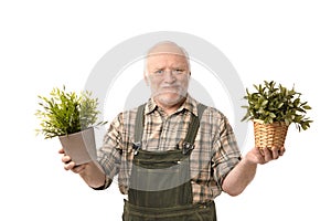 Senior gardener holding plant smiling