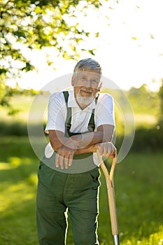 Senior gardener holding a spade