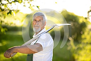 Senior gardener holding a spade