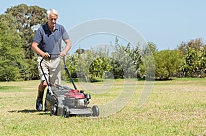 Senior gardener mowing