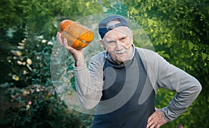 Senior gardener with a pumpkin. Farmer 87 years old enjoys the harvest of pumpkins in the garden. Cheerful active old man in