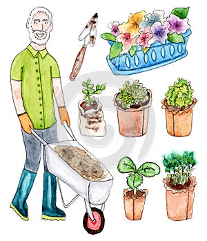 Senior gardener and seedling - watercolor set