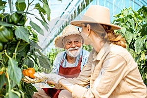 Senior grandfather with young woman on the cucumber plantation