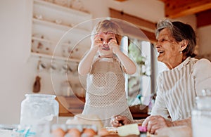 Senior grandmother with small toddler boy making cakes at home.