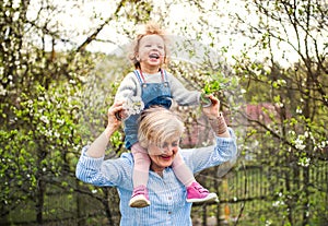 Senior grandmother with toddler granddaughter standing in nature in spring.