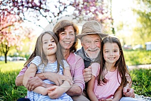 Senior grandparents with granddaughters sitting outside in spring nature.