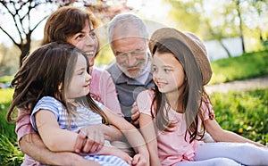 Senior grandparents with small granddaugther sitting outside in spring nature. photo