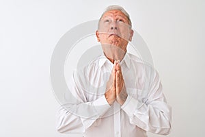 Senior grey-haired man wearing elegant shirt standing over isolated white background begging and praying with hands together with