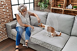 Senior grey-haired woman playing with chiuahua sitting on sofa at home