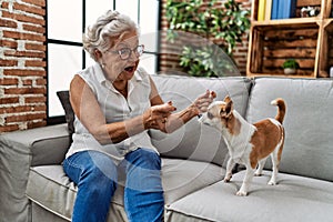 Senior grey-haired woman playing with chiuahua sitting on sofa at home