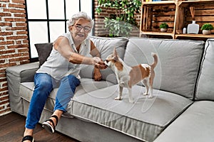 Senior grey-haired woman playing with chiuahua sitting on sofa at home