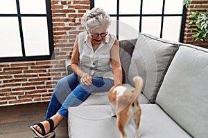 Senior grey-haired woman playing with chiuahua sitting on sofa at home