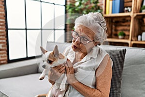 Senior grey-haired woman smiling confident holding chiuahua sitting on sofa at home