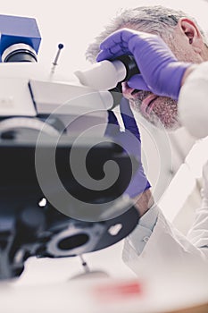 Senior scientist microscoping in lab.