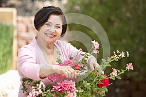 Senior Hispanic Woman Working In Garden Tidying Pots