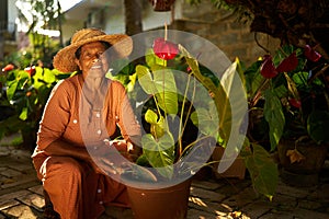 Senior Indian female farmer planting flowers smiling happily. Elderly Sri Lankan cheerful woman sitting in her garden