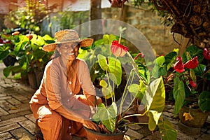 Senior Indian rural female farmer planting flowers smiling happily. Elderly Sri Lankan cheerful woman sitting in her