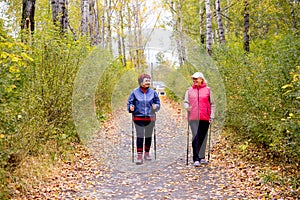 Senior ladies nordic walking