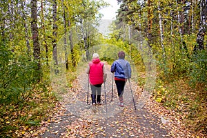 Senior ladies nordic walking