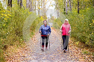 Senior ladies nordic walking