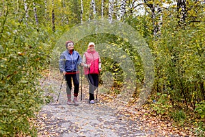 Senior ladies nordic walking