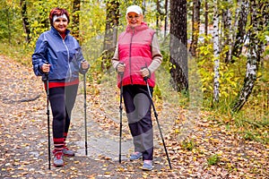 Senior ladies nordic walking