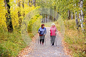 Senior ladies nordic walking