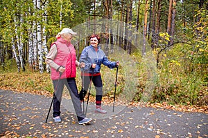 Senior ladies nordic walking