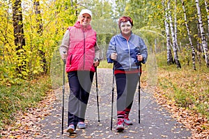 Senior ladies nordic walking