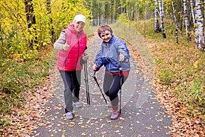 Senior ladies nordic walking