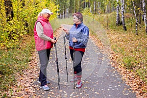 Senior ladies nordic walking