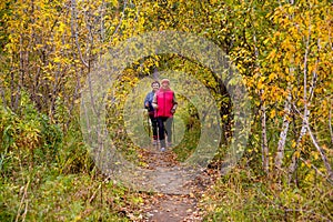 Senior ladies nordic walking