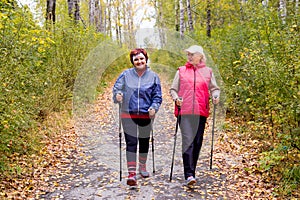 Senior ladies nordic walking