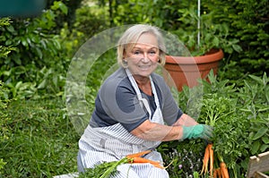 Senior Lady at the Garden Holding carrots