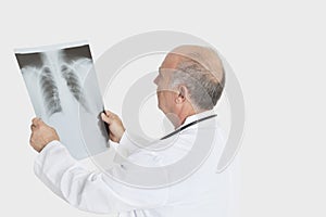 Senior male doctor examining medical radiograph over gray background photo