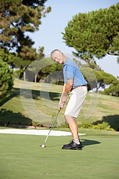 Senior Male Golfer On Golf Course