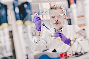 Senior male life scientist researching in the laboratory.