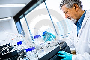 Senior male researcher carrying out scientific research in a lab