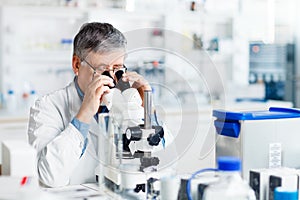 Senior male researcher carrying out scientific research in a lab