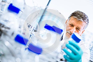 Senior male researcher carrying out scientific research in a lab